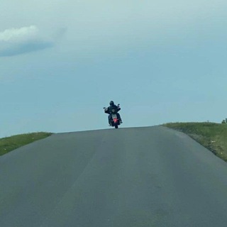 The world around us🦊🌍🐿️