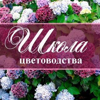 Школа цветоводства - переход