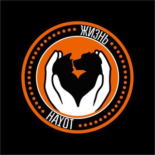 Приют Хаёт 🐶