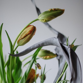 Зелёная Симфония. Gsflowersstudio.