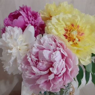 Сад с пионами 🌺 Garden with peonies 🌺