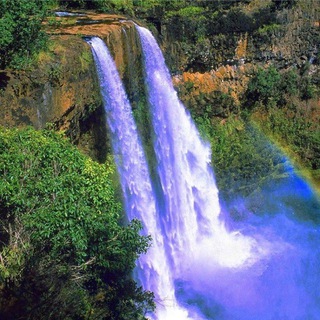 Дмитрий Зарипов о финансах