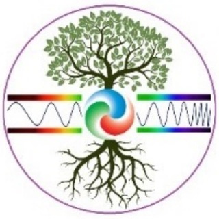 RACION - АНО «Культурных Инициатив и Технологий»