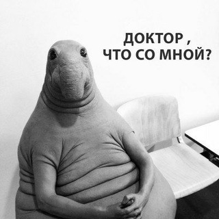 Общая практика