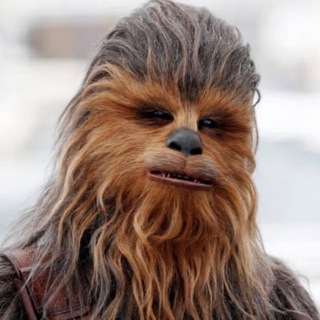 Кудрявый метод для парней. С нуля