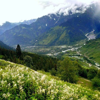 Дары природы для здоровья!!!