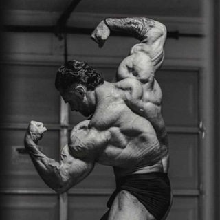 Дорога к Олимпу 🥇