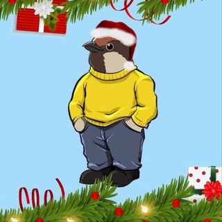 Sparrows Basketball🔥🏀