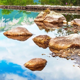 Voice chat ( Русский )