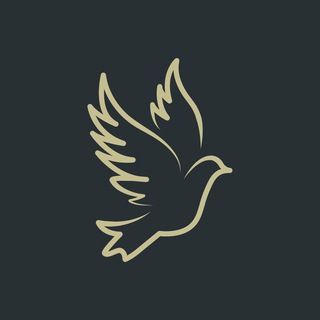 Игровестник 👾