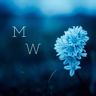 Ошибка выжившего