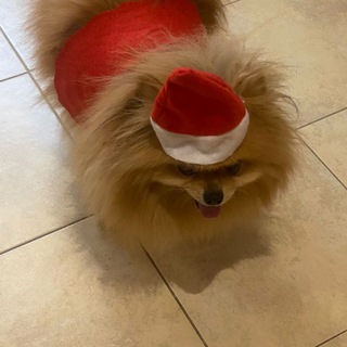 YakutskT (Axel00Gold)