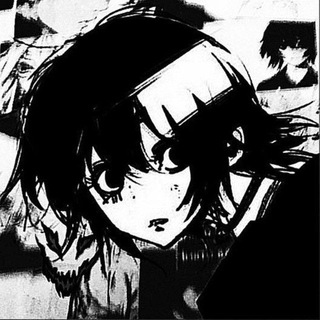 Раздачи от ПОПКА