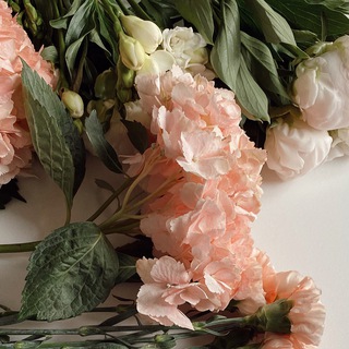 Любимые сторис