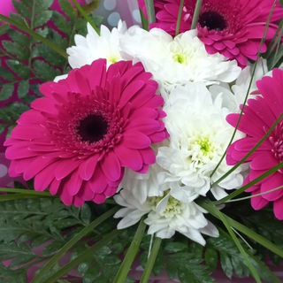 Стихотворения на любой случай🖋