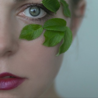 ann_salakhova | комнатные растения