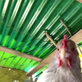 💬Маркетинговый трешнячок