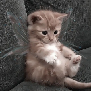 советы💋🙌🏾