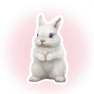 ХЭЛП ФРЭГА🤢