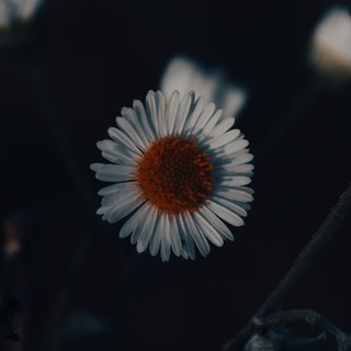 Моменты прошедшего дня