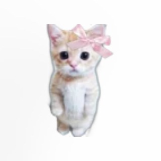 🪴Идеи для оформления постов [без тгп]🍄