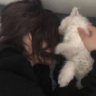 reengs | темки и языки для тг💕