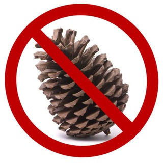 шишка лох😡