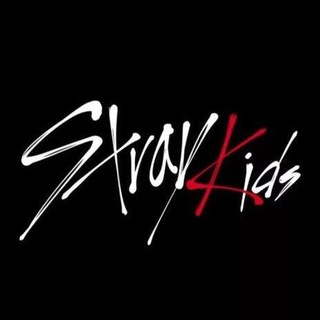 Stray Kids||video|photo🫶