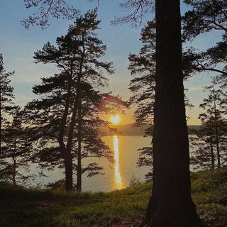 . ⃕˖ ‧₊˚ ᴨᴩᴏдᴀжи viʙᴇxfᴀ 🎋