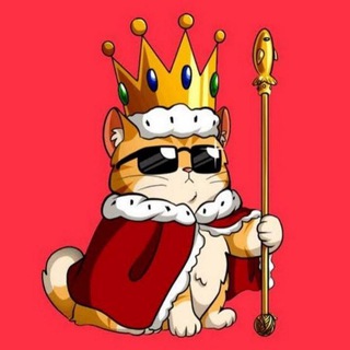 Котейкино царство 😸