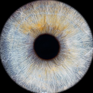 Мирный шизик