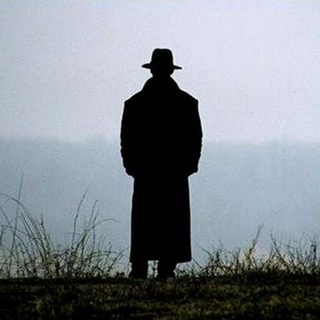 Дикий писатель