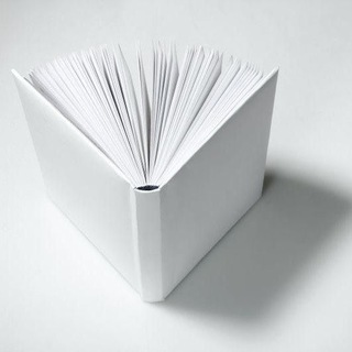 БЕЛАЯ КНИГА