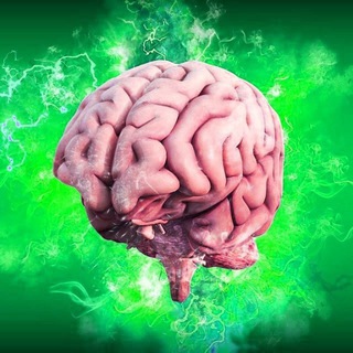 Эрудит. Финансы