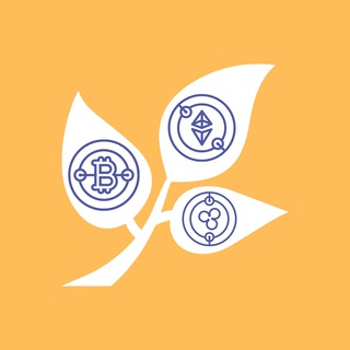 Криптовалюты и цифровые активы