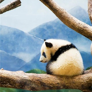 Китайские пословицы * 中华谚语