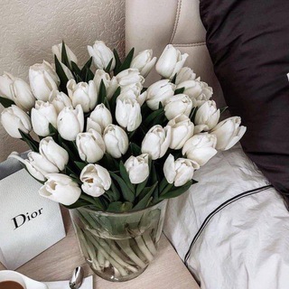 твоя мотивация🫀❤️‍🩹