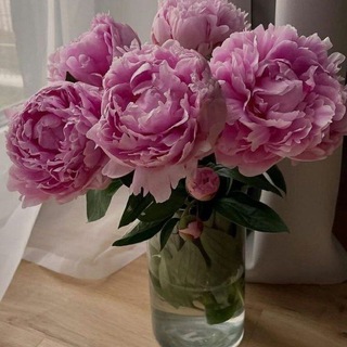 💫happy moments💫