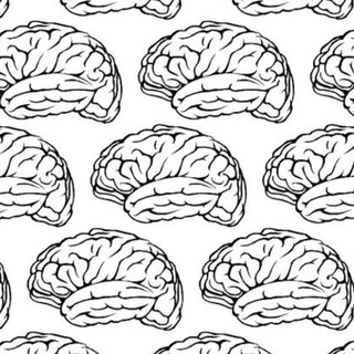 Путешествуем вместе