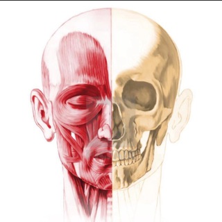 Анатомичка