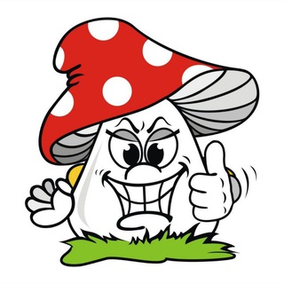 Мухоморы Макеевка ДНР