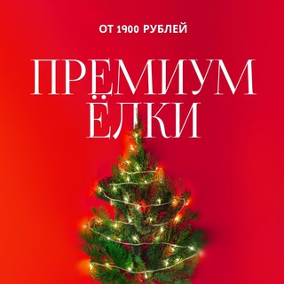 Ёлки от 1900 руб + гирлянда 20м в подарок