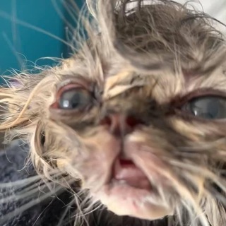 ✨Идеи маникюра ✨