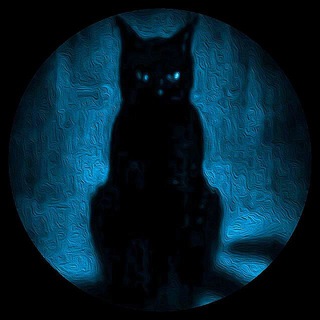 Комната кота