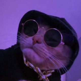 SoundVibes 🎧| Лучшая Музыка 🎵 | MUSIC | TRACK | Remix | 2022