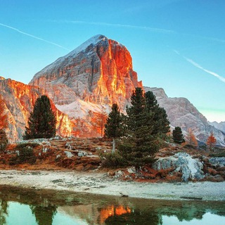 История картины