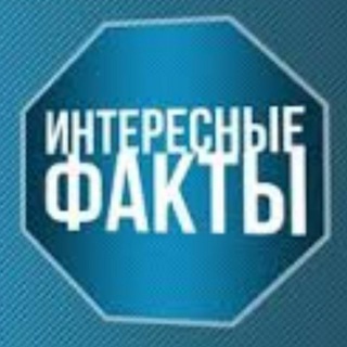 Интересные факты
