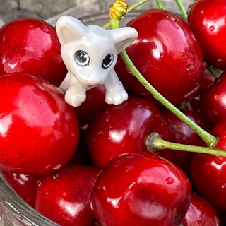 Пока вы спали…