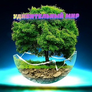 Удивительный мир