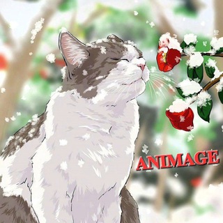 ✨️𝐀𝐍𝐈𝐌𝐀𝐆𝐄✨️